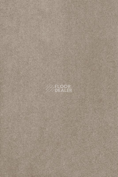 Ковролин AW Masquerade Kai 34 фото 1 | FLOORDEALER